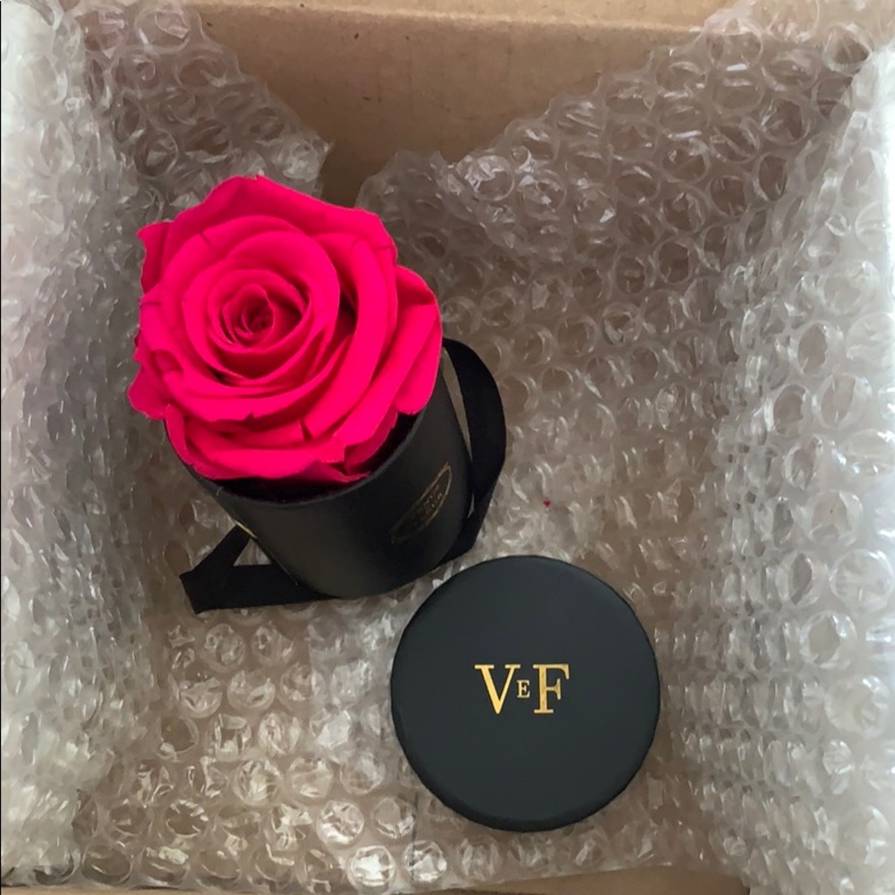 Venus De Fleur Single Rose